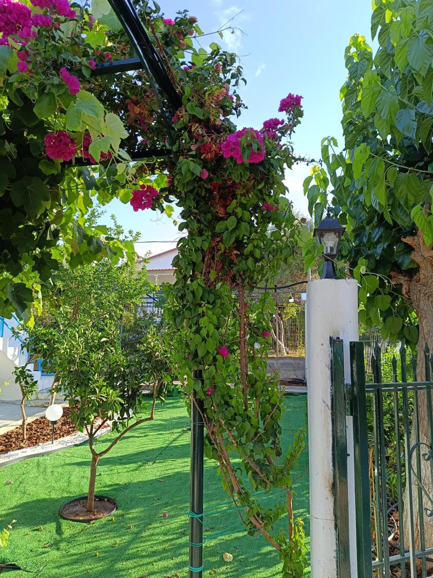 Holiday home Oropos Relax View Vacation! Nea Palatia